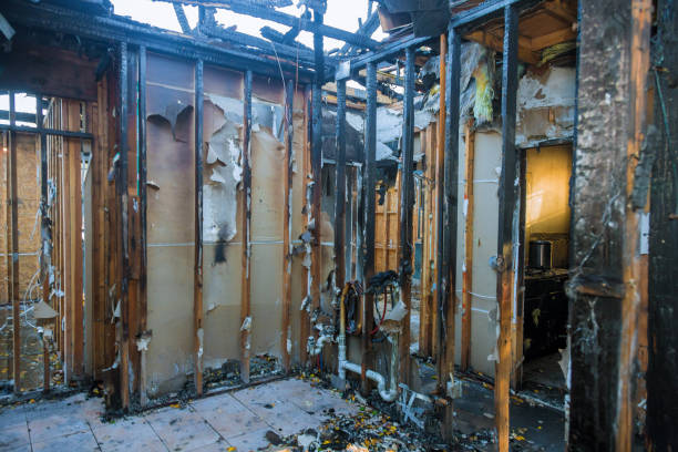 Professional Structural Rebuild technician working in Annetta, TX